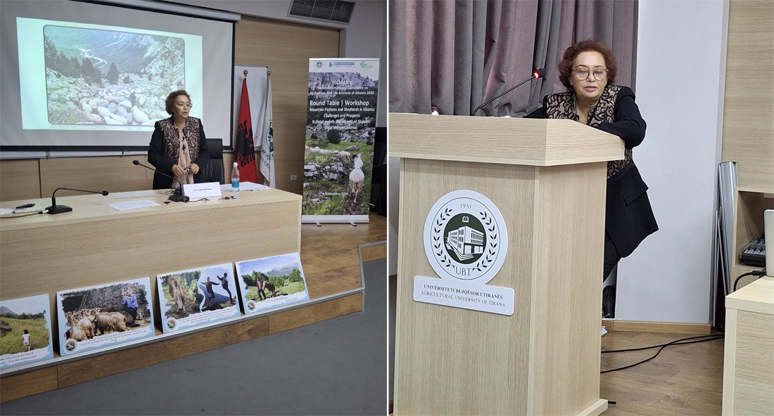 Opening Remarks - Prof. Dr. Lumturi Papa