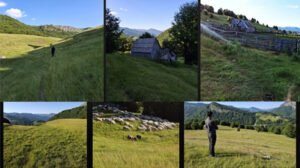 Western Balkan Regional Gathering of Pastoralists (25-26 April 2026 | Shkodër, Albania)