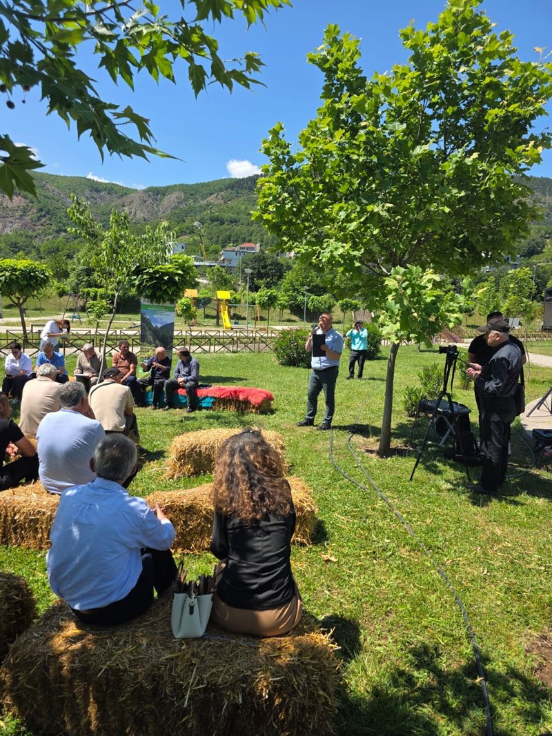 News-8 photos